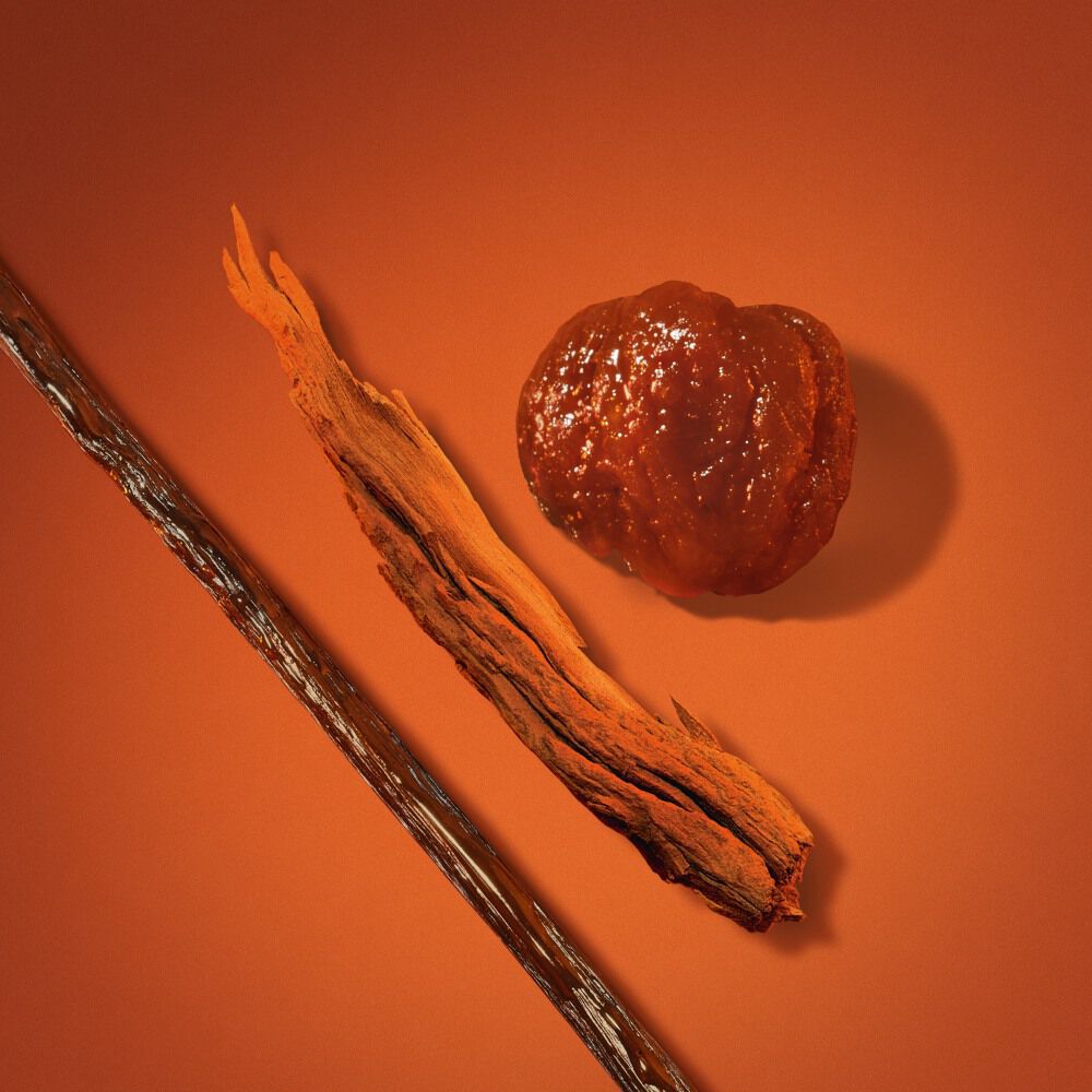 Stronger With You Only fragrance ingredients: vanilla bean, chestnut, and wood notes arranged on an orange background, highlighting the scent’s rich, gourmand character.