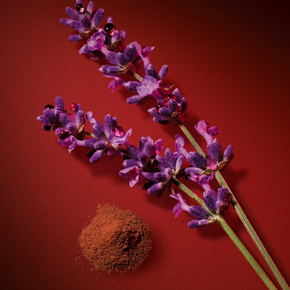 Heart Note: lavender sprigs and ground spice on a bold red backdrop.