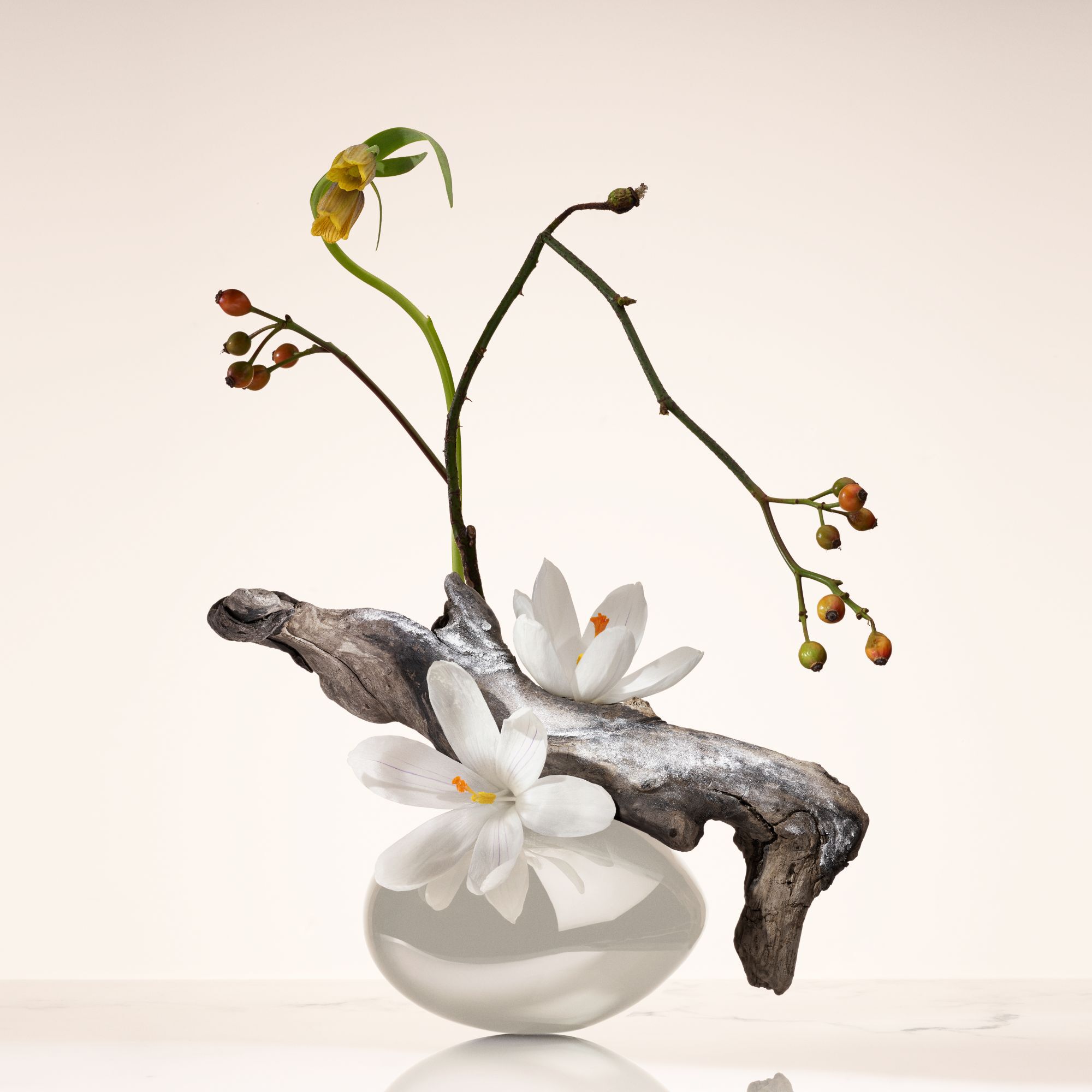 Ikebana of Armani Prive Oud Nacre perfume displaying natural notes