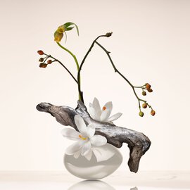 Ikebana of Armani Prive Oud Nacre perfume displaying natural notes