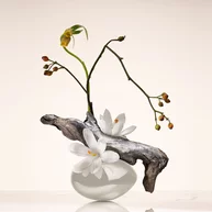 Ikebana of Armani Prive Oud Nacre perfume displaying natural notes