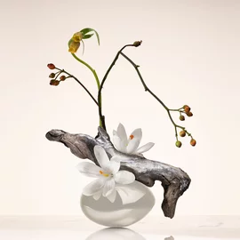 Ikebana of Armani Prive Oud Nacre perfume displaying natural notes