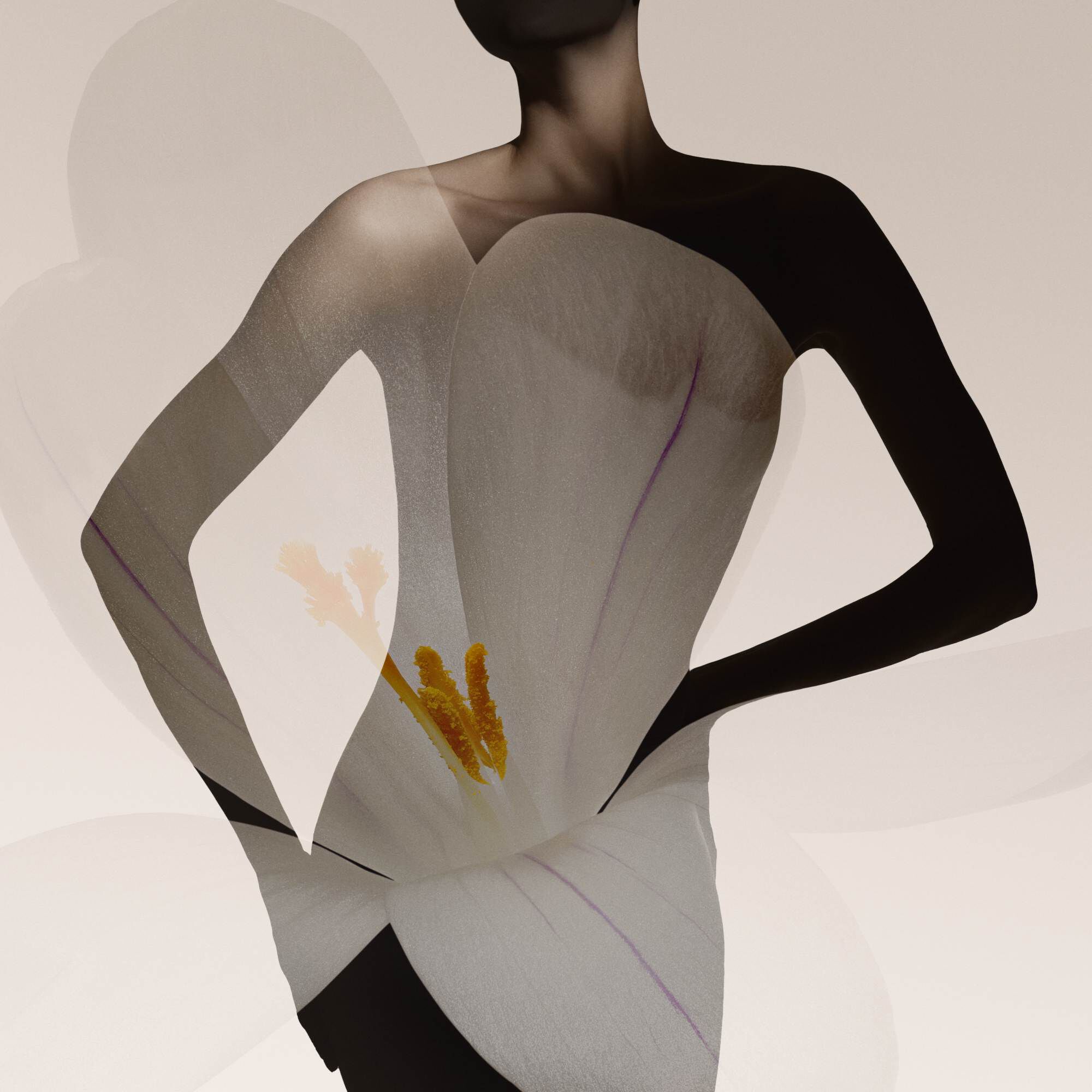 Elegant back of a silhuette draped in light fabric.