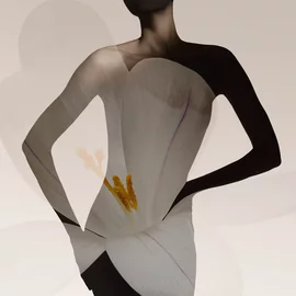 Elegant back of a silhuette draped in light fabric.