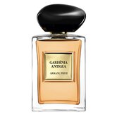 Gardenia Antigua