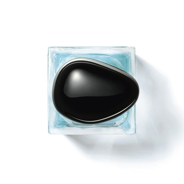 ARMANI/PRIVE Vetiver D'Hiver