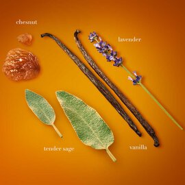 Emporio Armani Stronger With You