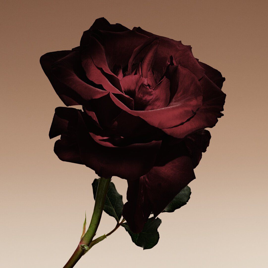 ARMANI/PRIVE CUIR NU