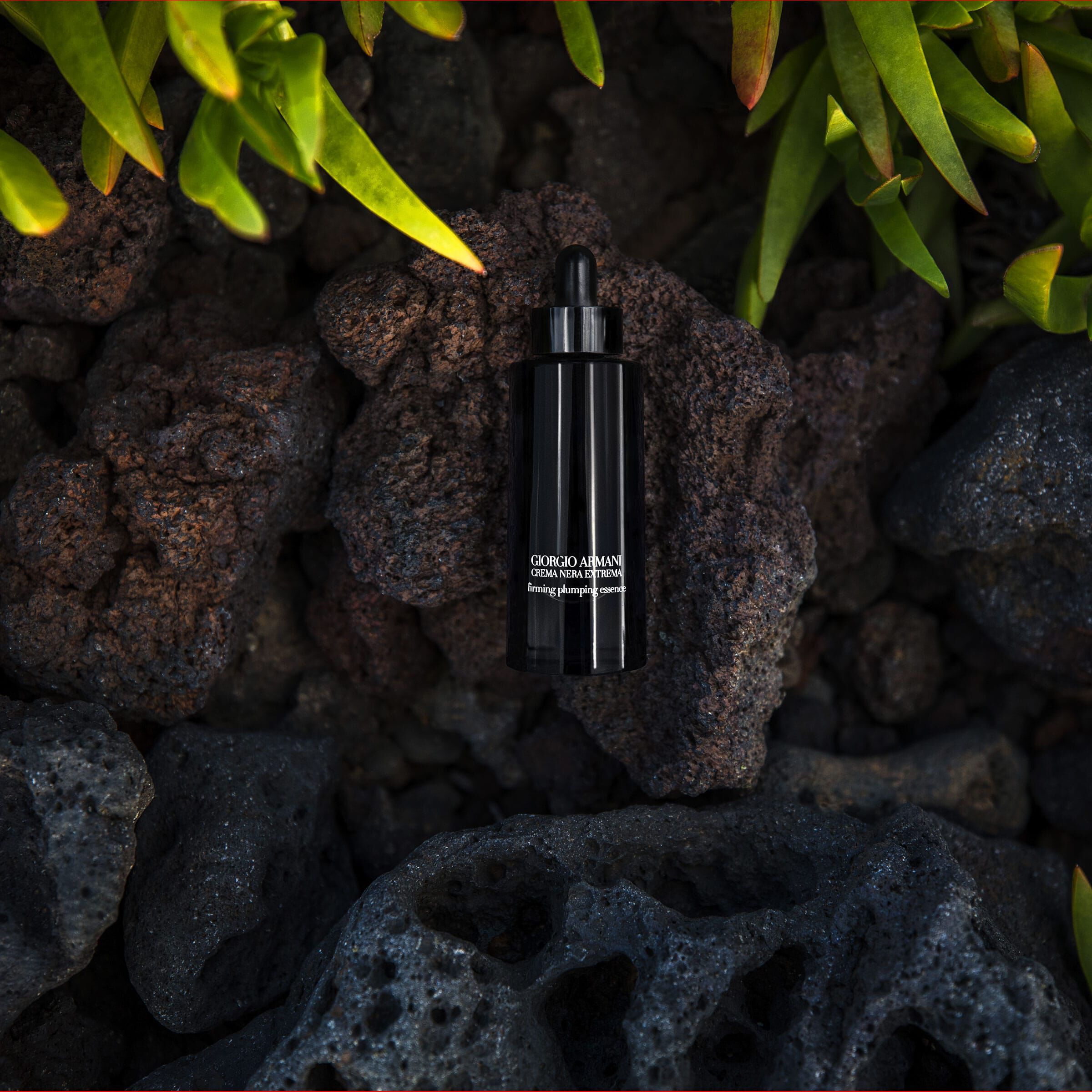 Crema Nera Firming Plumping Essence Armani beauty