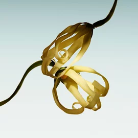 ARMANI/PRIVE Vert Malachite