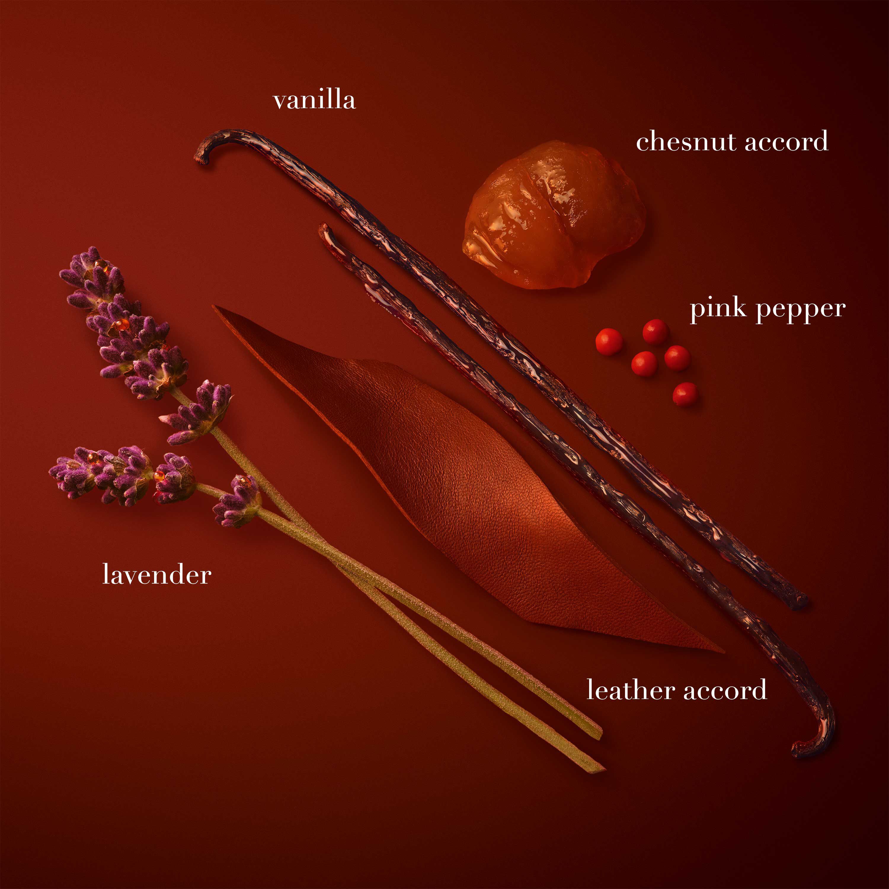 EMPORIO ARMANI STRONGER WITH YOU PARFUM