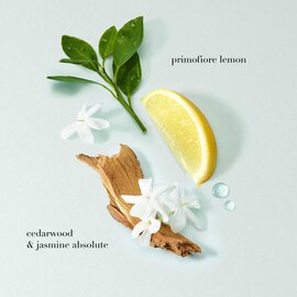 Acqua di Gioia Eau de Parfum with notes of primofiore lemon, cedarwood, and jasmine absolute, surrounded by fresh ingredients on a pale blue background.