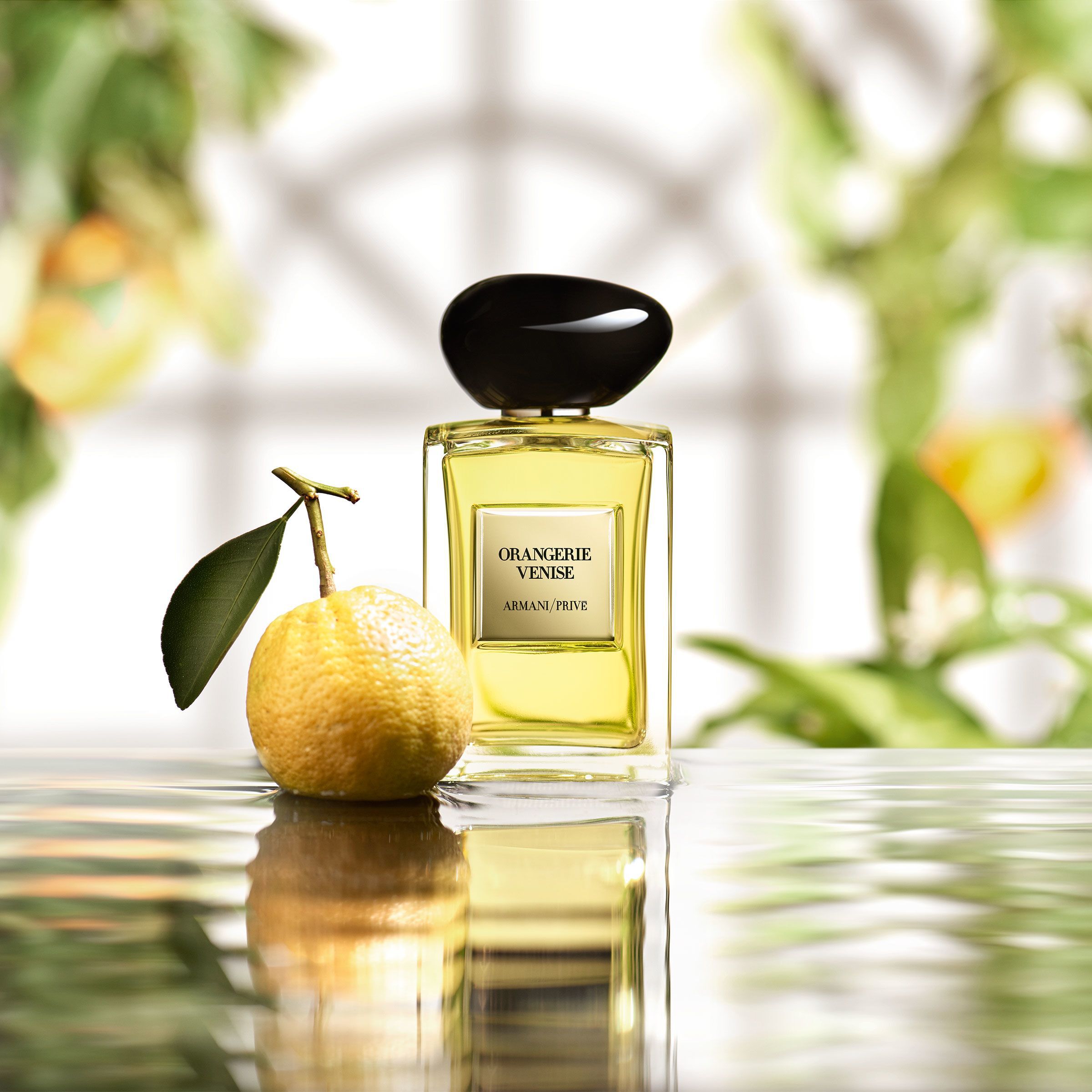 ARMANI/PRIVE Orangerie Venise