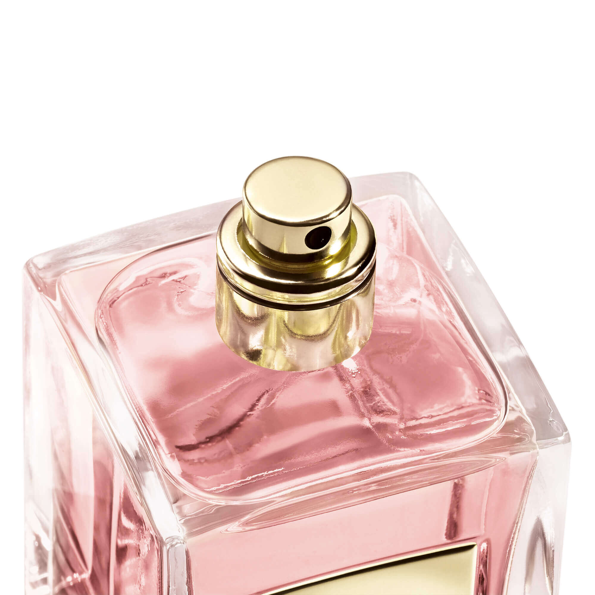 ARMANI/PRIVE Rose Alexandrie