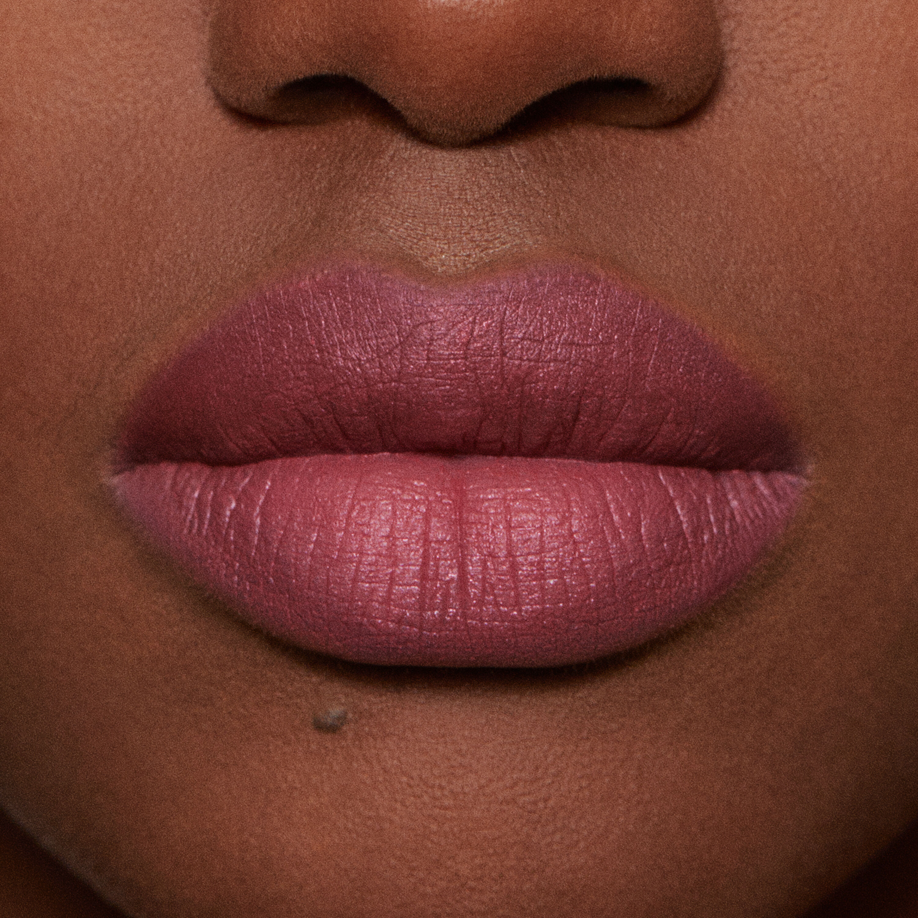 Lip Maestro