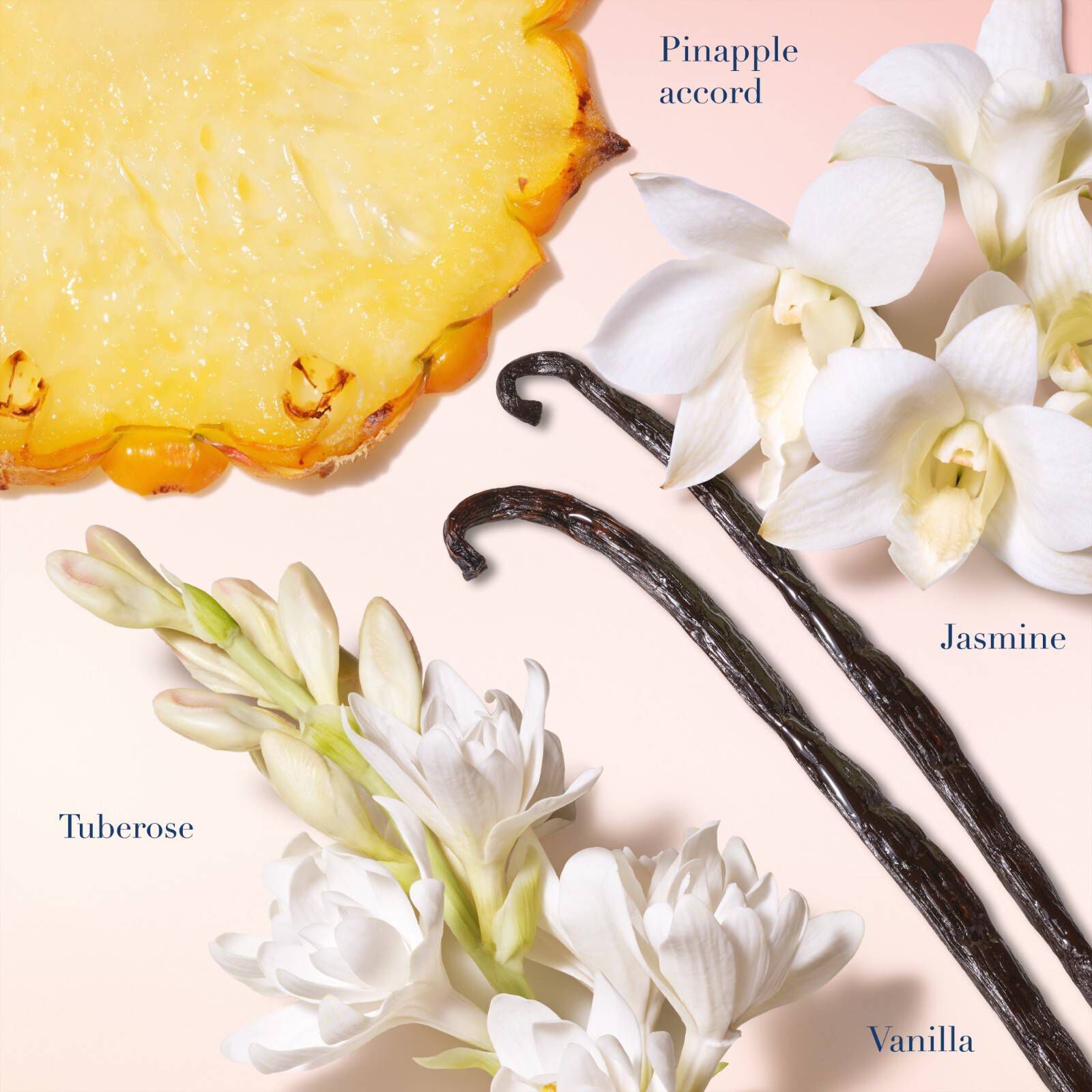 MY WAY SUNNY VANILLA EAU DE PARFUM