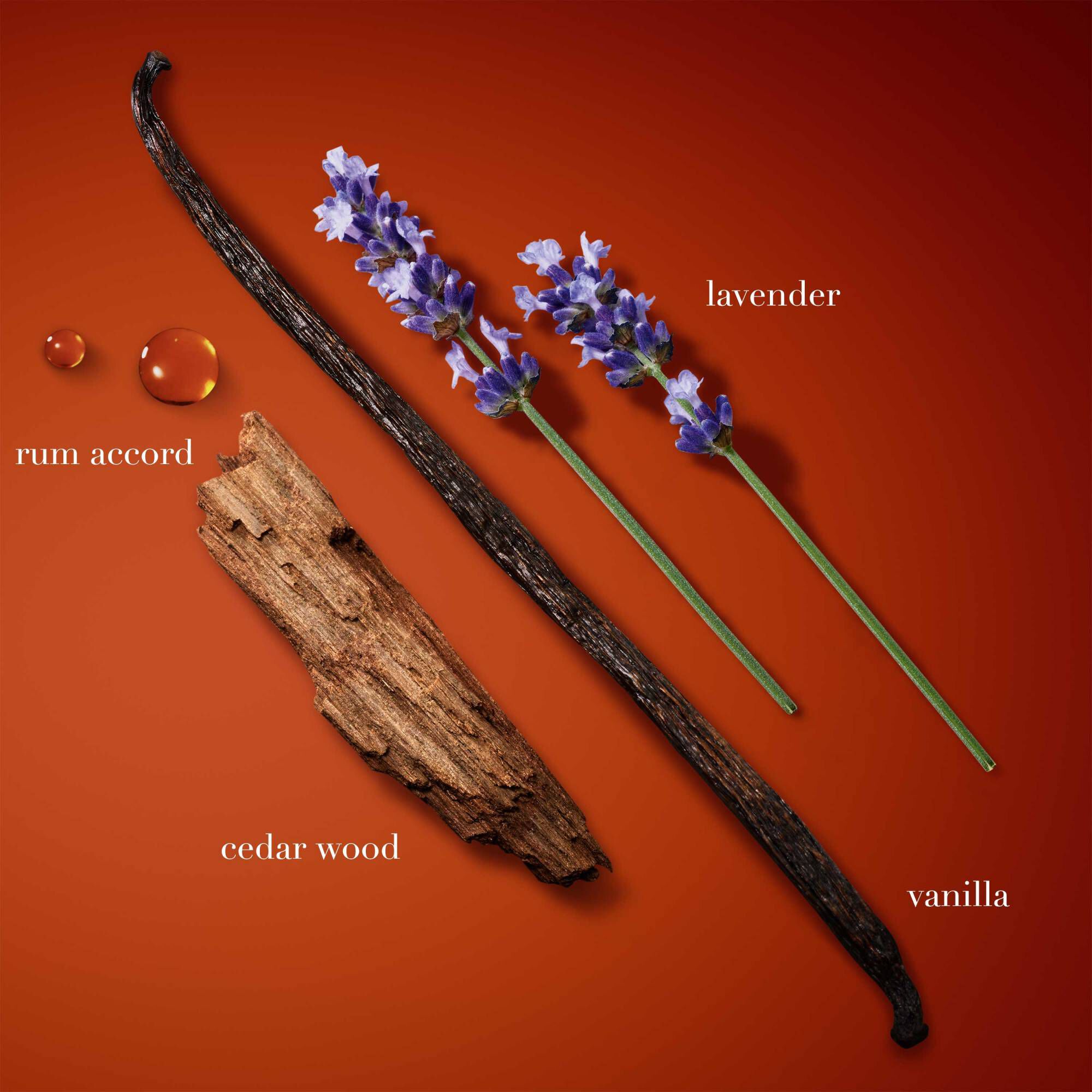 Emporio Armani Stronger With You Absolutely